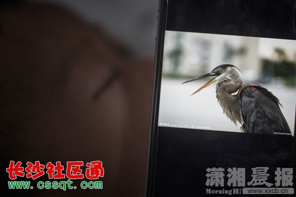xxcb20150702_162.jpg